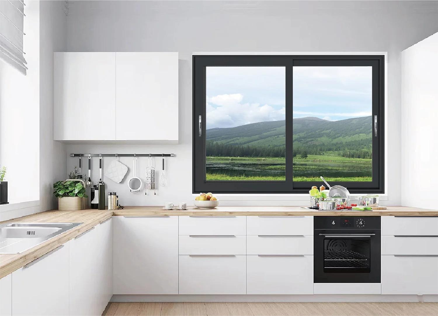 DY789 Economic Sliding windows view 4