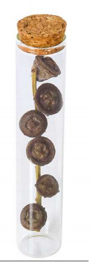 Preserved Flower Gift Collection thumbnail 41