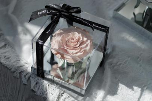 Preserved Flower Gift Collection thumbnail 8