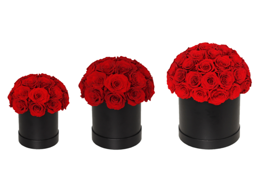 Preserved Rose Box thumbnail 4