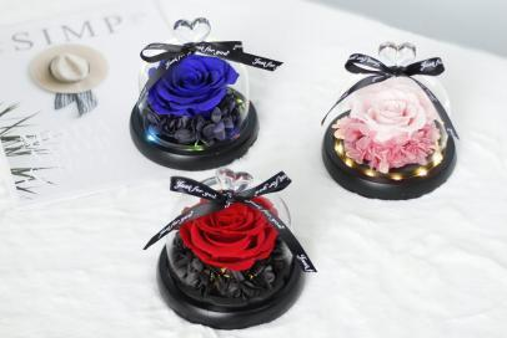 Preserved Rose Glass Dome thumbnail 16