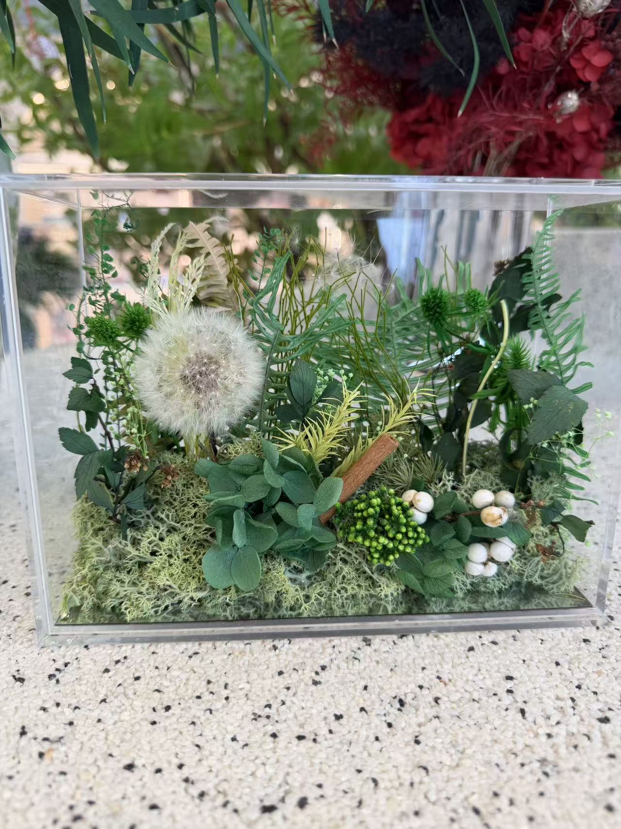 Preserved Flower Gift Collection thumbnail 48