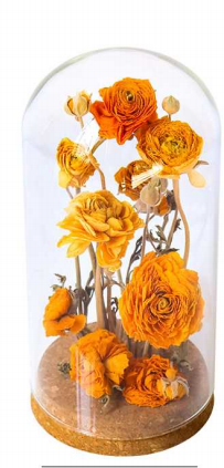 Preserved Rose Glass Dome thumbnail 3