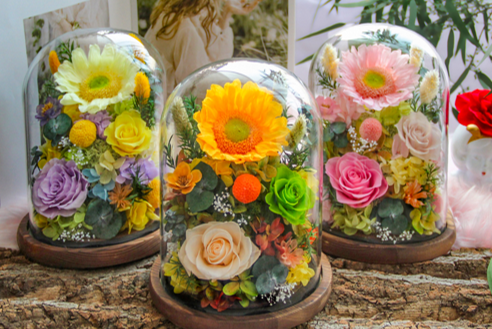 Preserved Rose Glass Dome thumbnail 12