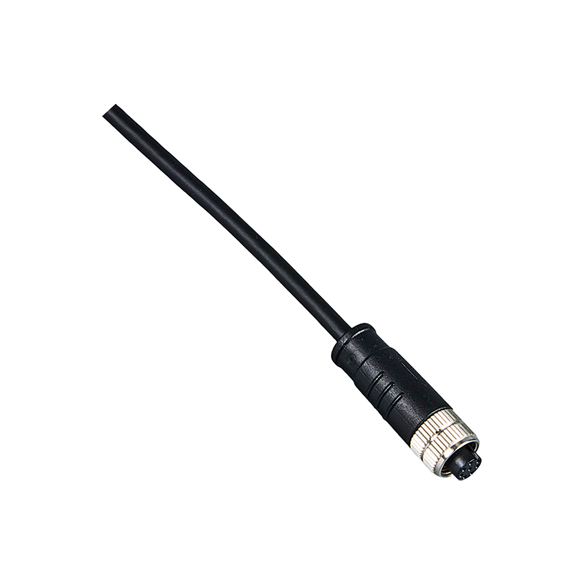 M12 Plug