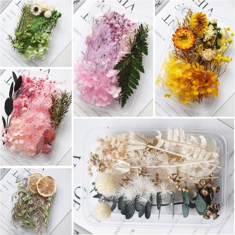 Preserved Flower Decorative Collection thumbnail 26