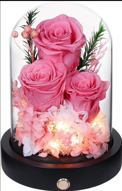 Preserved Rose Glass Dome thumbnail 18
