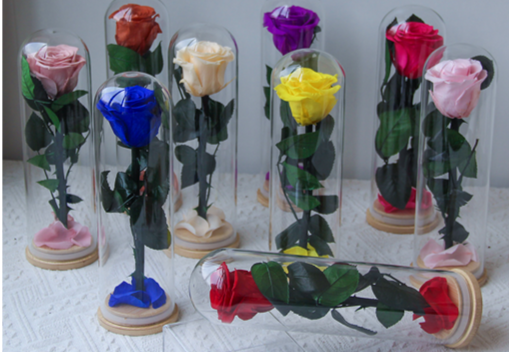 Preserved Rose Glass Dome thumbnail 13