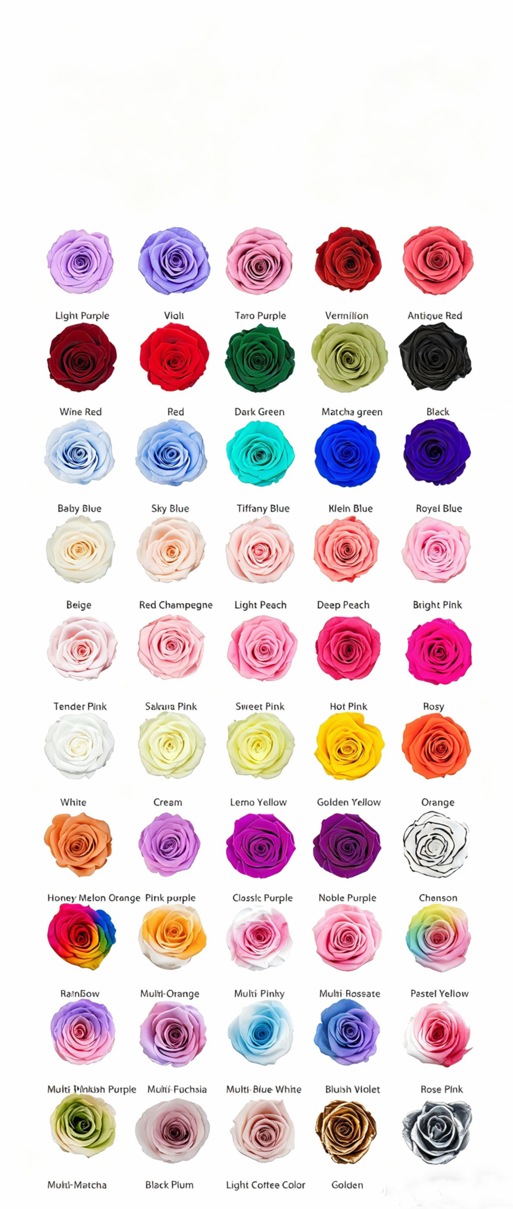 Rose