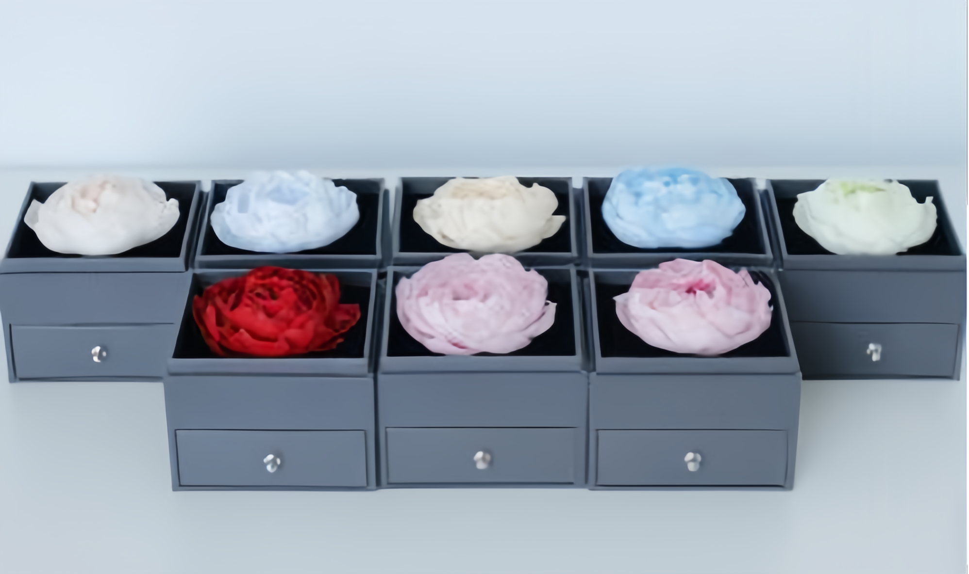 Preserved Flower Gift Collection thumbnail 21
