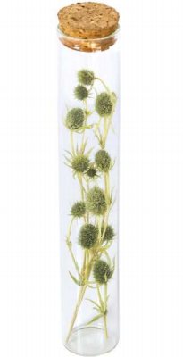 Preserved Flower Gift Collection thumbnail 38