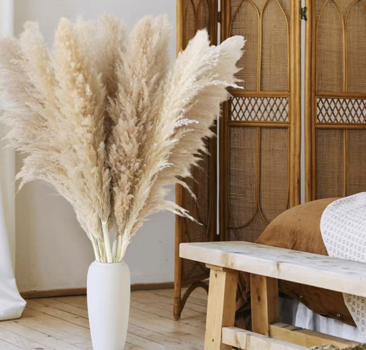 Pampas Grass