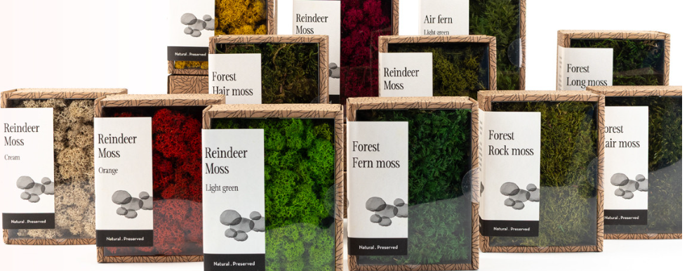 Preserved Moss