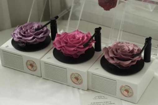 Preserved Flower Gift Collection thumbnail 27
