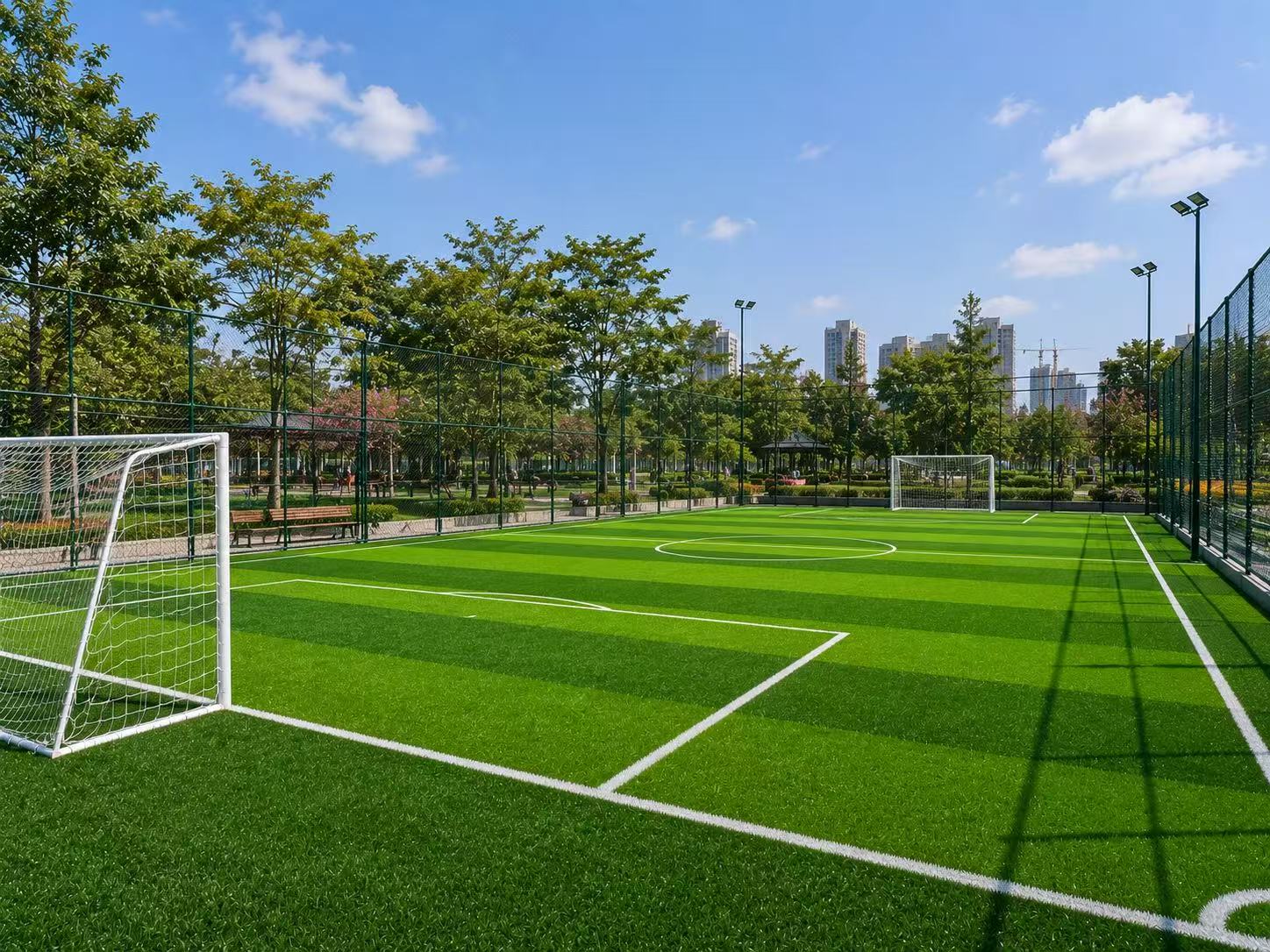 soccer field