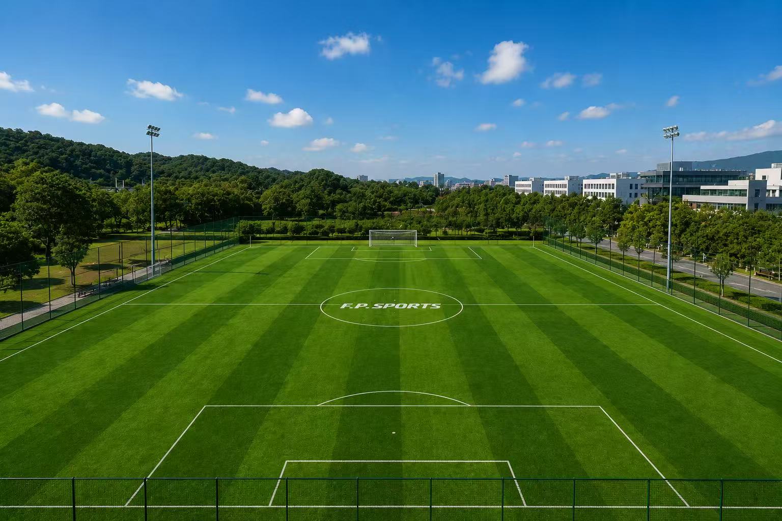 soccer field