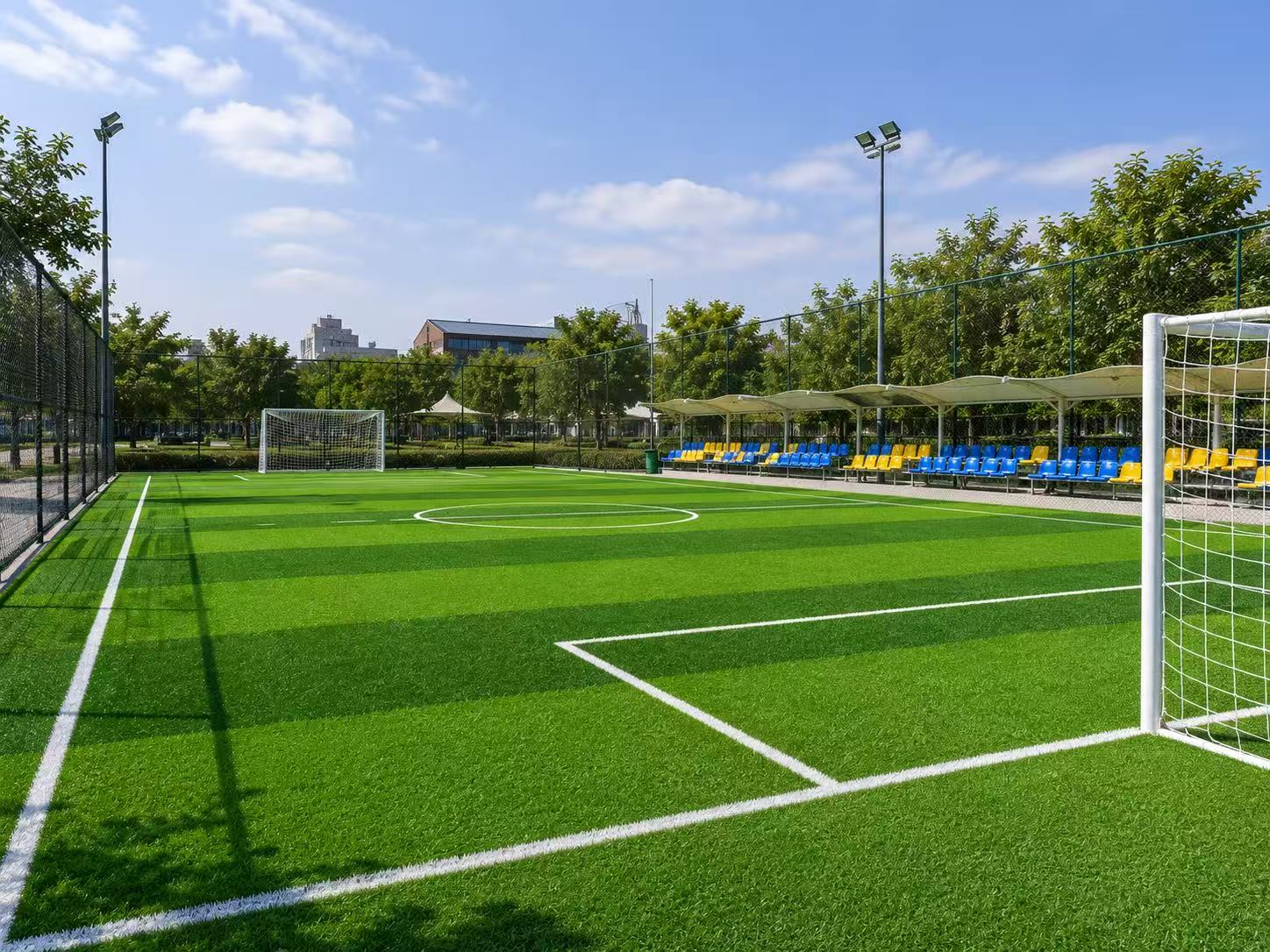 soccer field