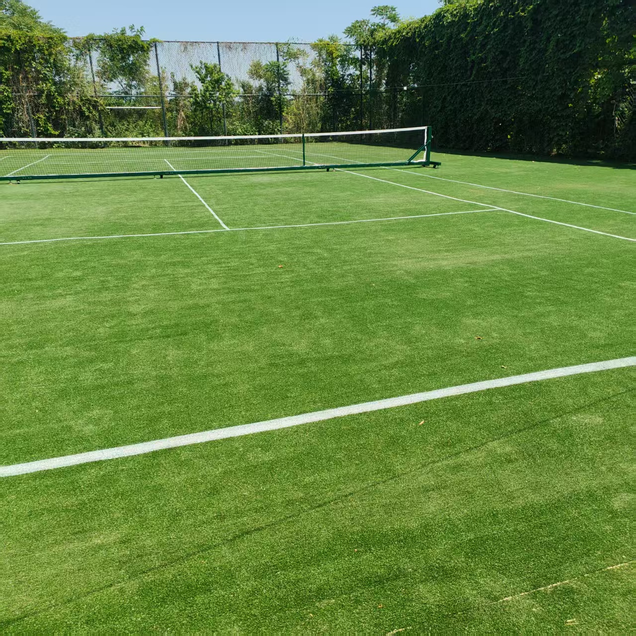 tennis court